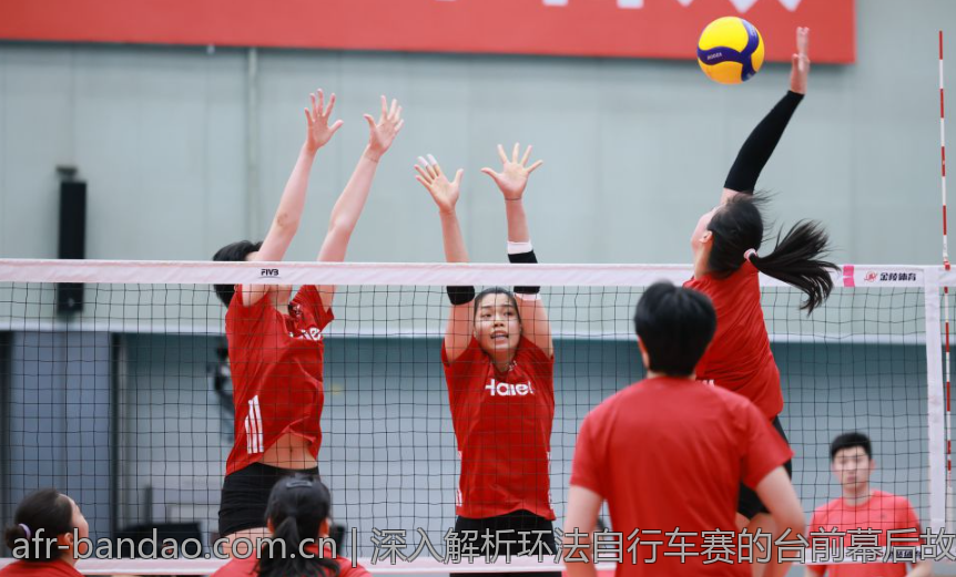 深入解析环法自行车赛的台前幕后故事