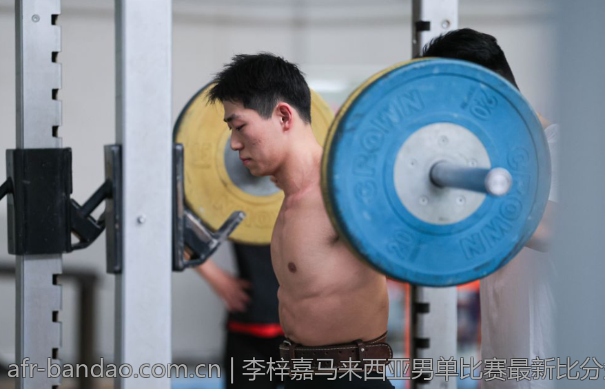 李梓嘉马来西亚男单比赛最新比分盘点与回顾