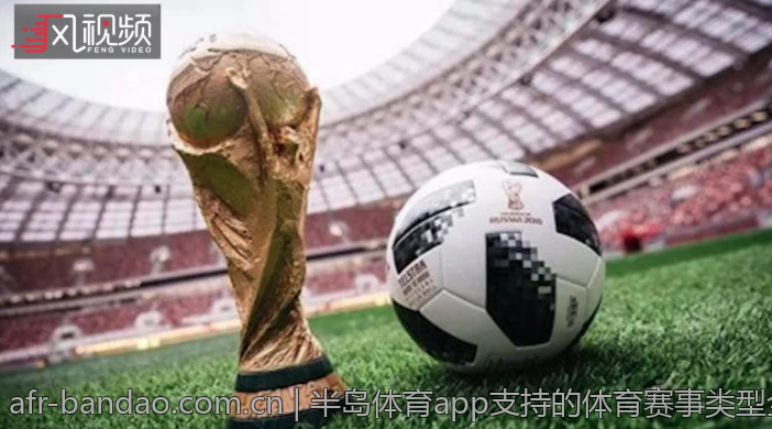半岛体育app支持的体育赛事类型全解